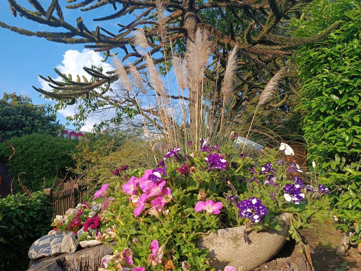 B&B Il Tulipano 코모 외부 사진