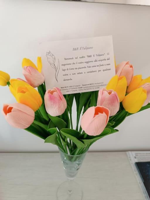 B&B Il Tulipano 코모 외부 사진