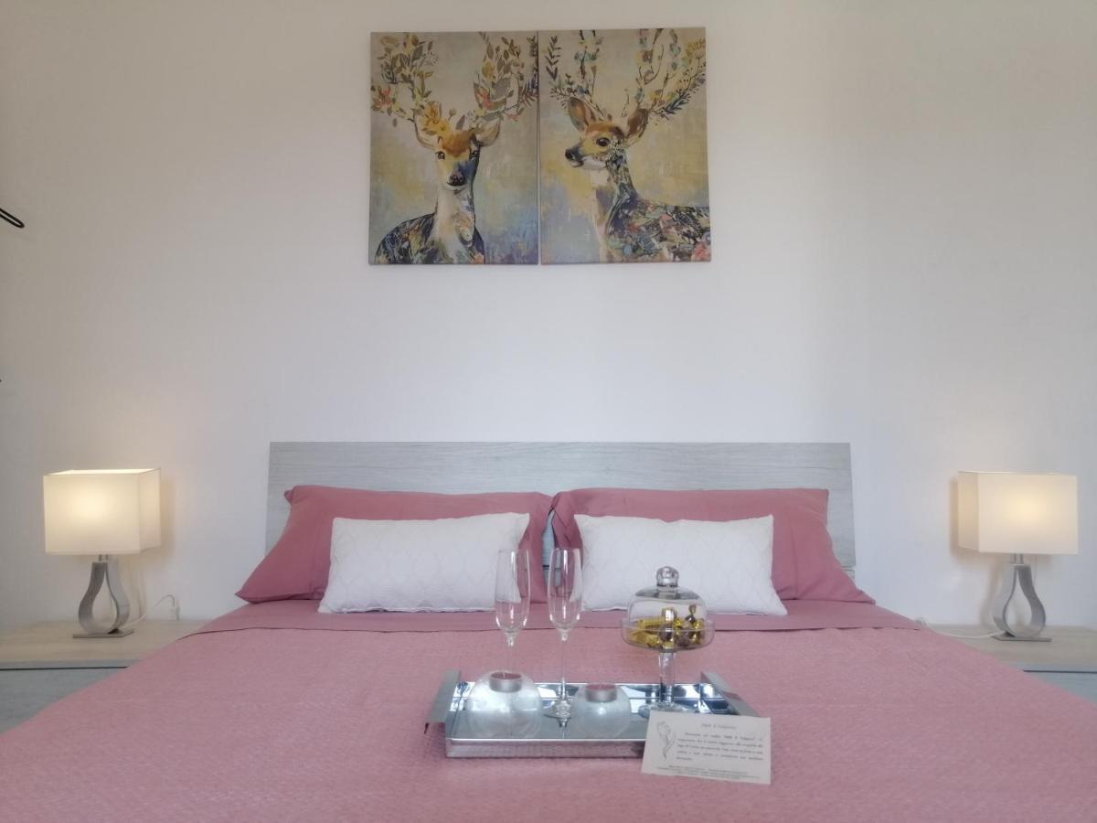 B&B Il Tulipano 코모 외부 사진